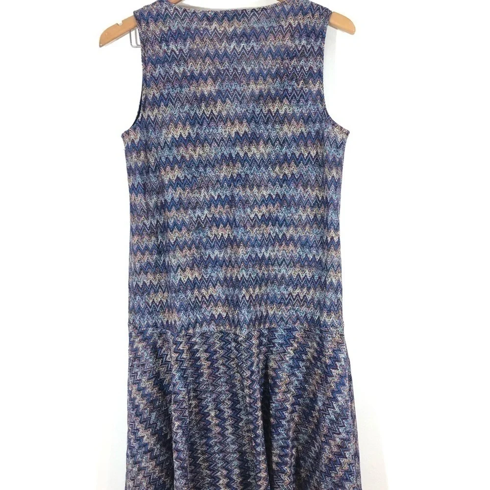 Maeve Anthropologie Blue Chevron Knit Dress S